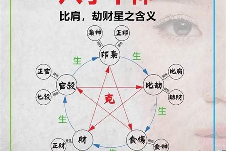 命理学十神的定位关系