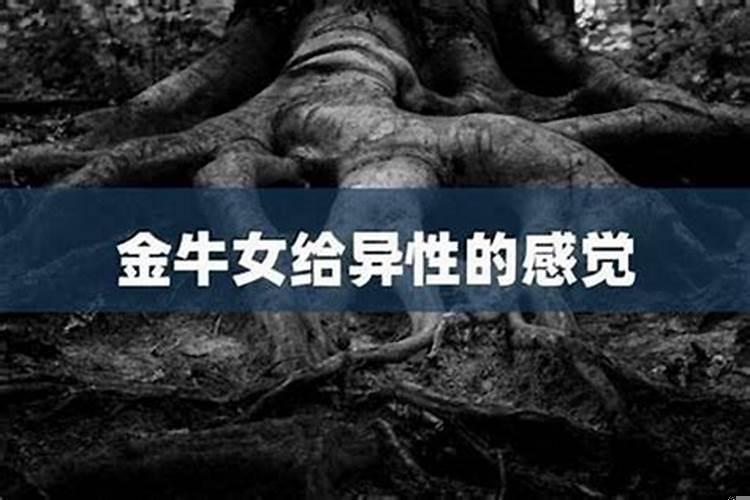 怎么追金牛座女生?