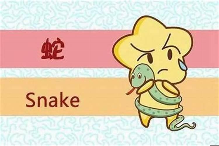 男属蛇女属虎相克吗