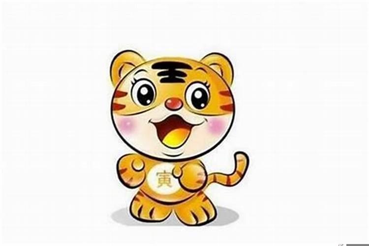 属虎人生个虎宝宝好吗