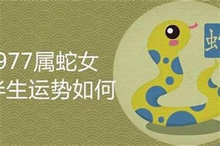 属蛇的31岁2021年财运如何