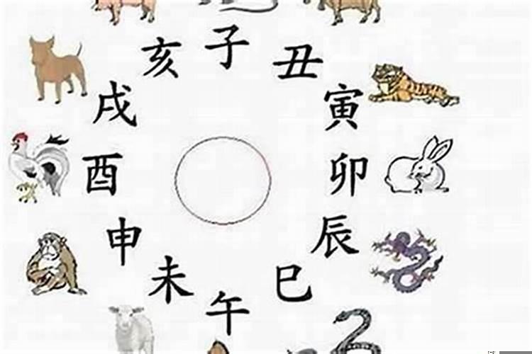 十二生肖佩戴什么最招财