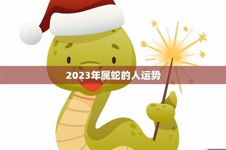 2022年属蛇的每月运势及运程