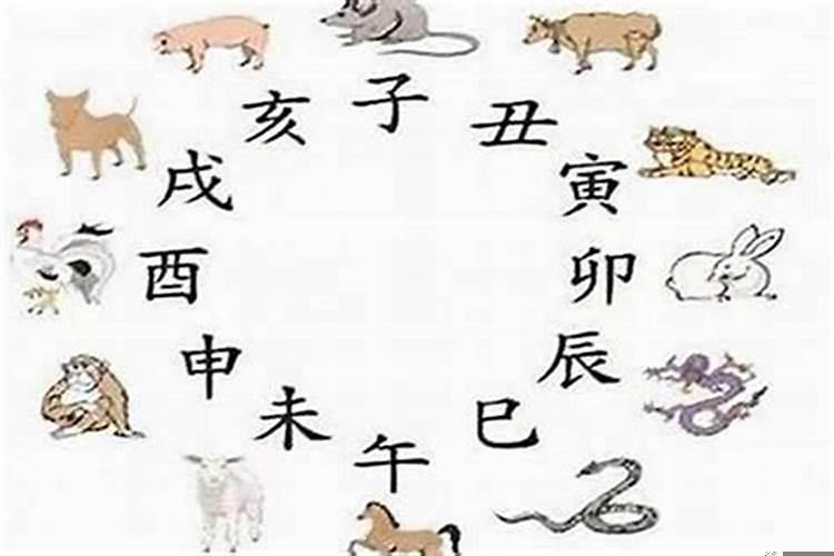 很会做生意的生肖是什么生肖