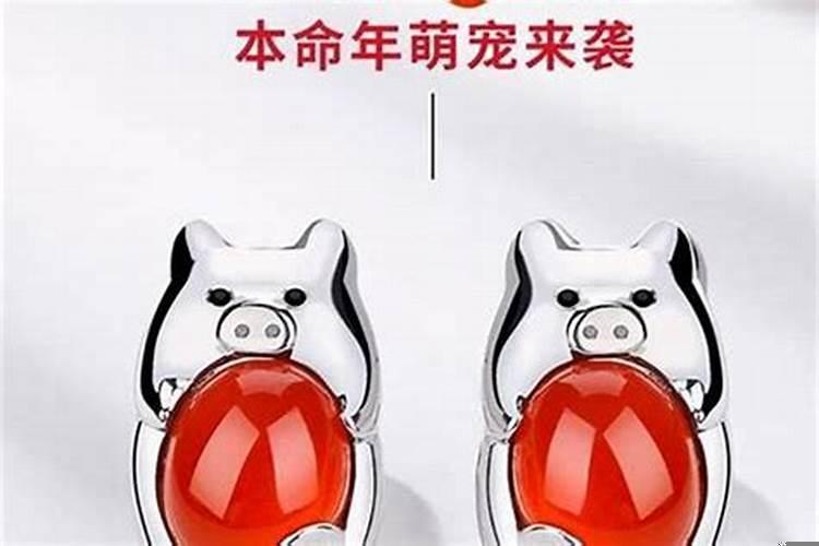 2020猪的本命年好不好