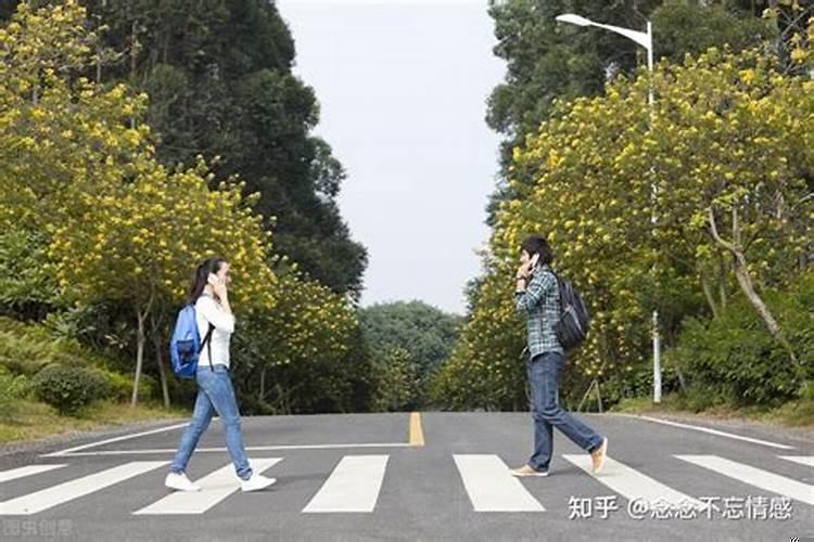 这段感情该结束还是继续