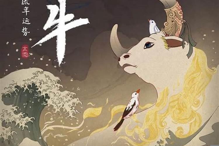牛年12月运势