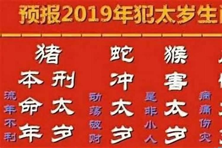 虎年犯太岁的生肖