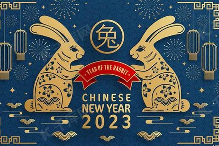 2025年是什么年呀
