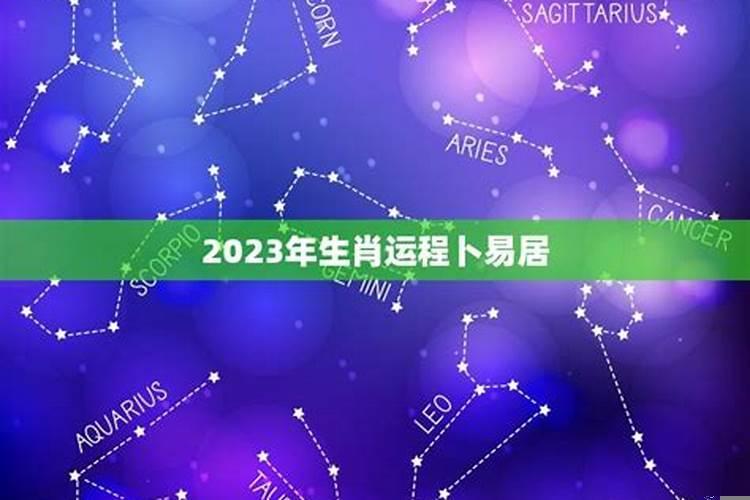 生肖鼠流年运程详解