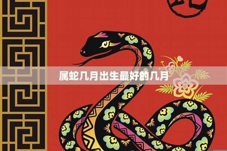 属蛇几月份结婚最好