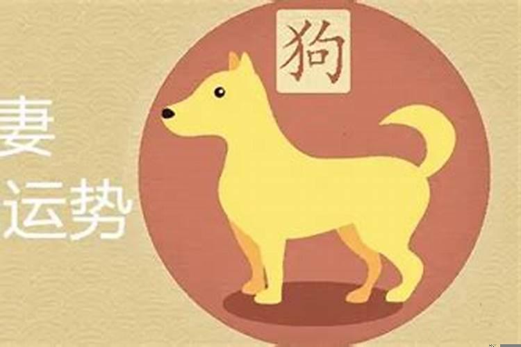97年牛男的和什么属相最配