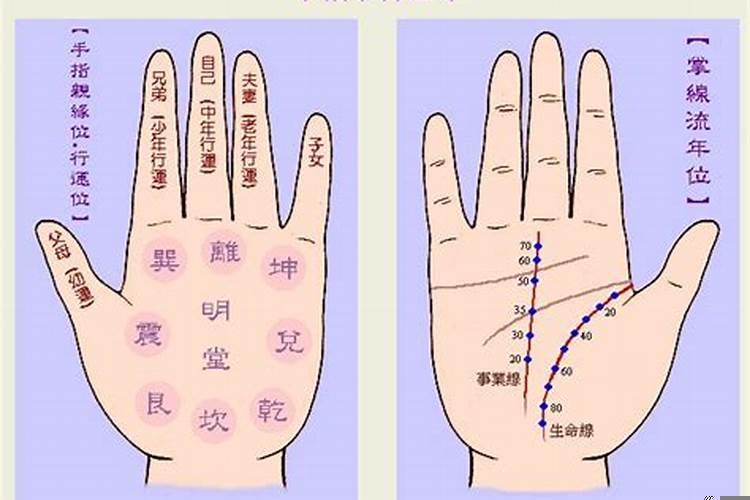 手相可以看出命运吗