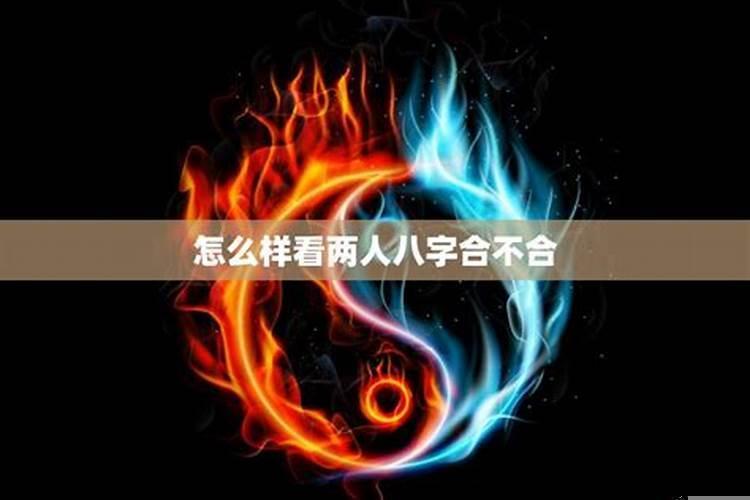 看两个人八字合不合要看什么