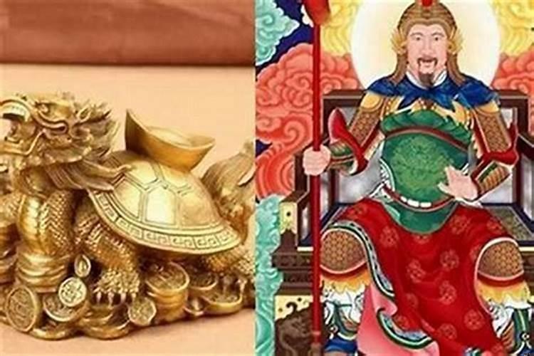 属马犯太岁要注意什么