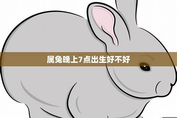 属兔人出生时辰命运