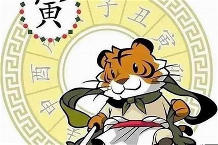 86年属虎男一生财运事业
