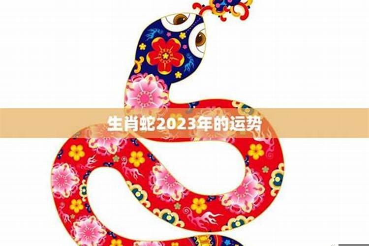 2022年财运最好的五大生肖