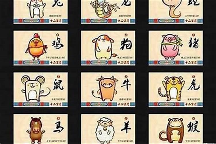 有实力低调沉稳的生肖女