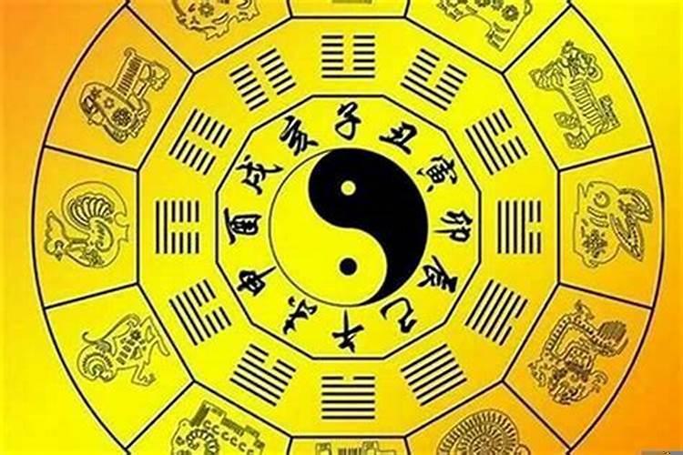 12楼适合哪种属相人住