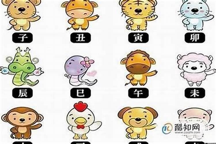 什么生肖最有钱又不务正业的