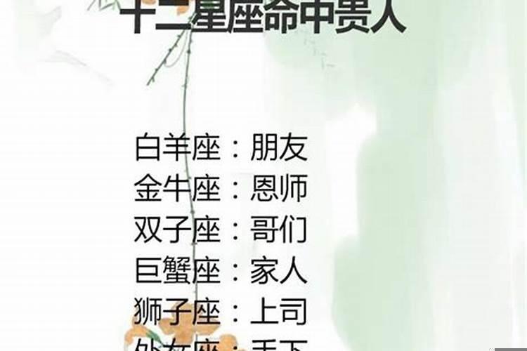 最难忘掉前任的星座