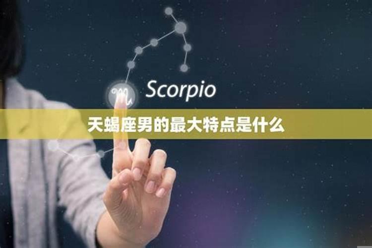 什么星座男最喜欢摩羯女