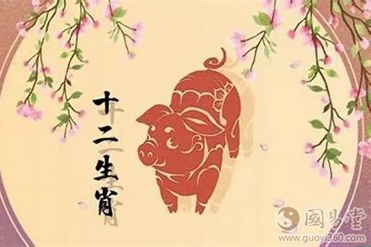 猪人遇牛年的运势如何？属蛇人遇猪年的运势