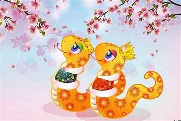 猪人遇牛年的运势如何？属蛇人遇猪年的运势