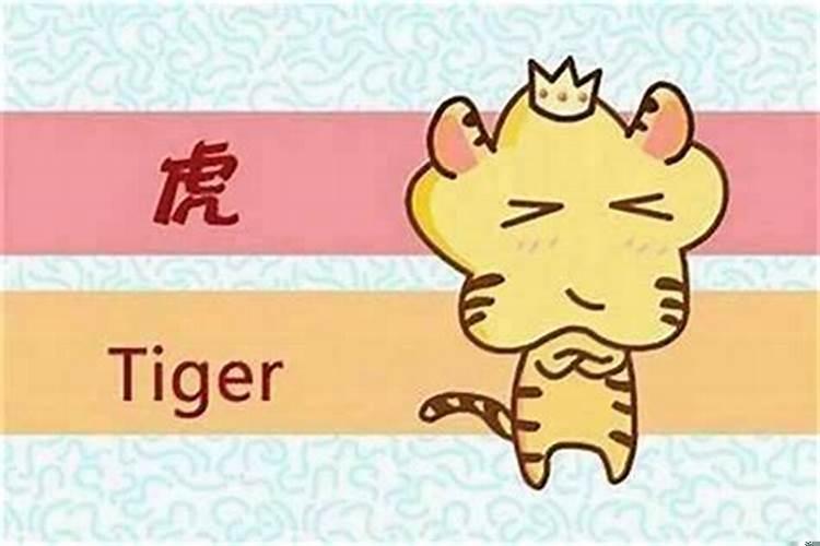 属蛇的在虎年结婚好吗？属蛇的在虎年注意什么