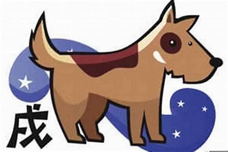 2025年属狗人的全年运势详解（属狗的六月份学业运势如何）