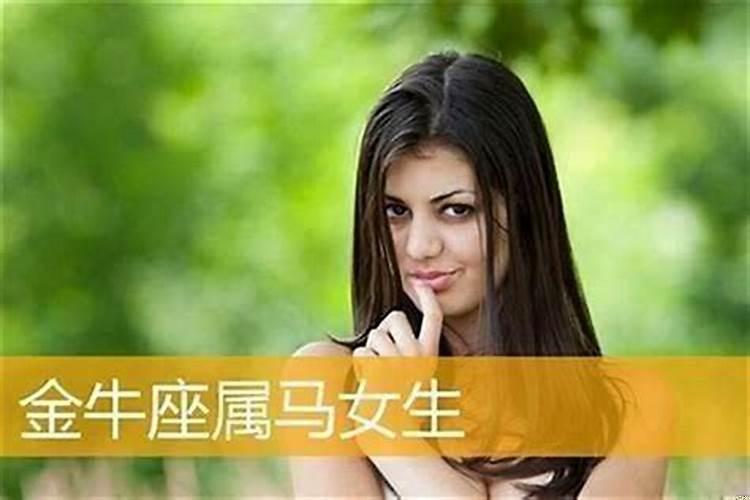 属马的金牛座今年运势，属马 金牛座