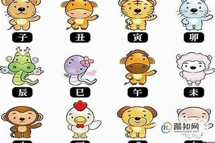2025年什么年生肖属相？2025年属兔是什么颜色的兔