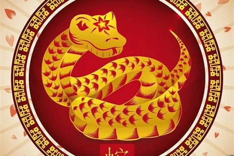 属蛇2025年的财运 属蛇人2025年禁忌
