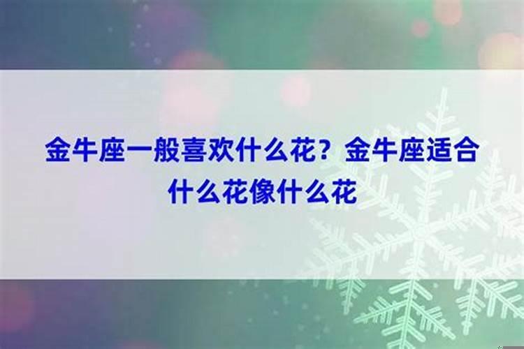最喜欢花的星座女(金牛座喜欢什么花)