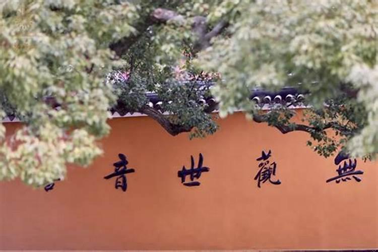 师兄们一般修什么法门啊？八字适合修道