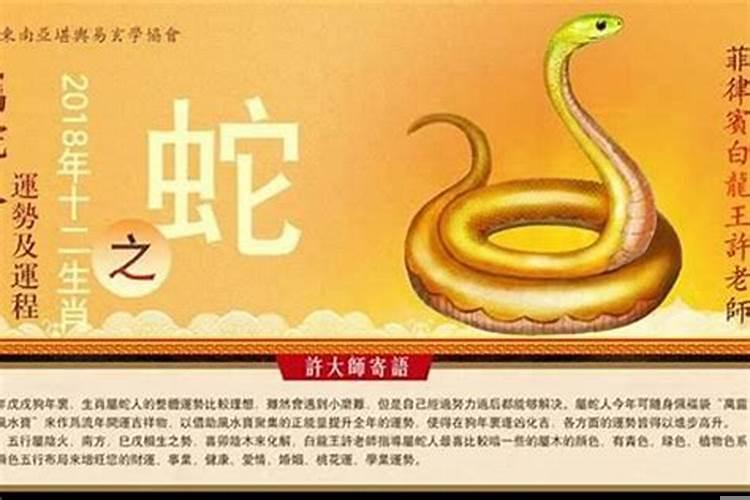 属蛇2025年的财运 属蛇人2025年禁忌
