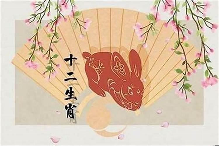 2025年属兔百年难遇(属兔的今年为什么霉运不断)