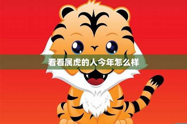 属虎今年事业运，74年属虎2025年运势及运程