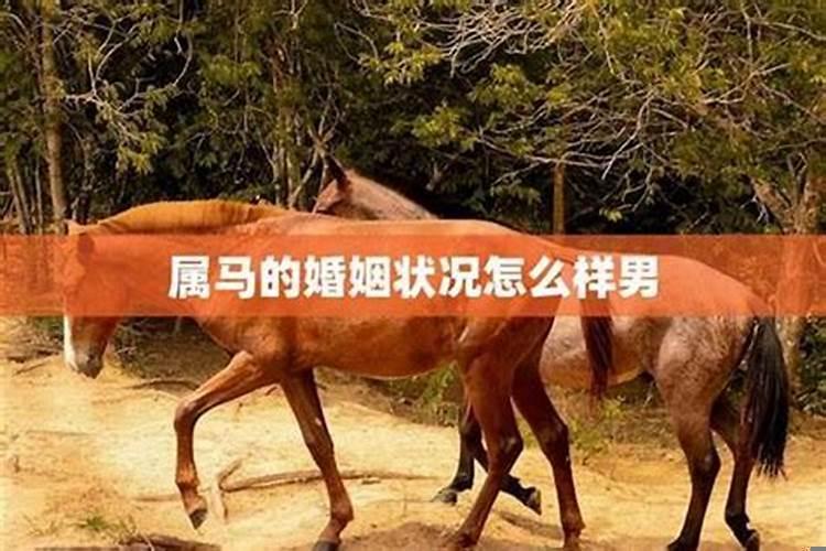 属马1990年的婚姻状况(本命月能不能结婚)