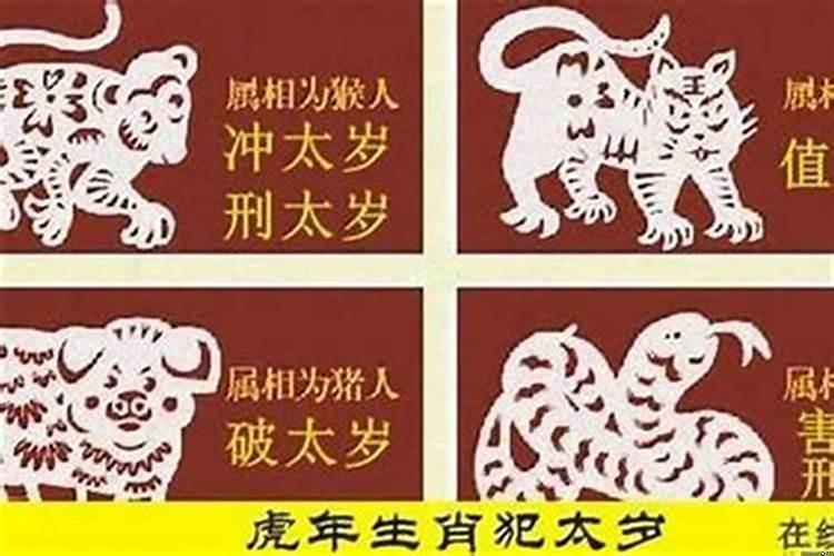 2025年财源滚滚的生肖（属猴的2025年犯太岁吗女孩）