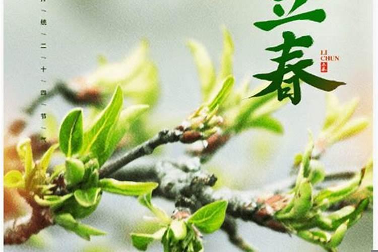 如何供奉太岁最灵验？家里养太岁的禁忌