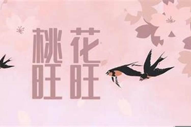 2025年蛇生肖桃花运最旺的生肖 2025年哪些星座桃花运最旺运