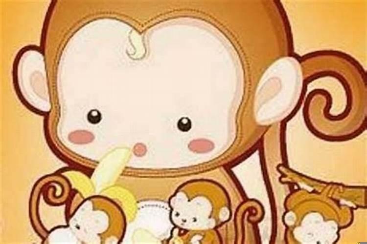 属猴和属猪的婚姻如何属猪的是什么命？属猪和属猴相害怎么化解