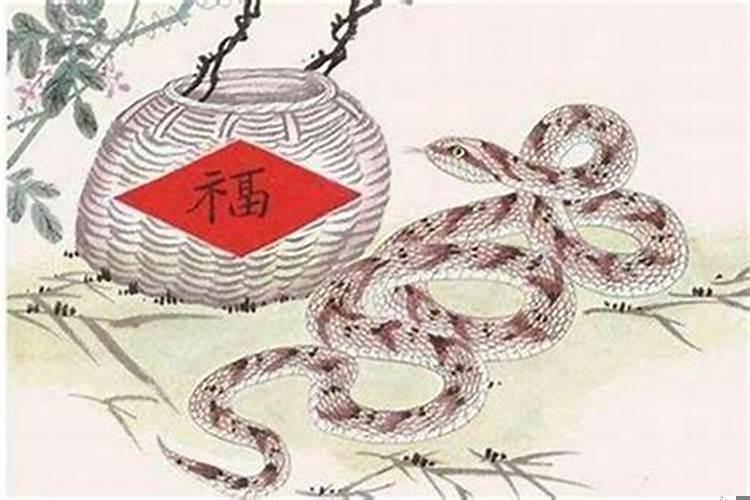 属蛇最有利的方位(属蛇人哪个方向有财)