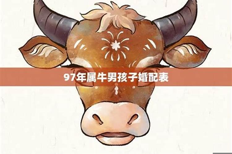 97年属牛的婚配（1997年属牛男的婚配）