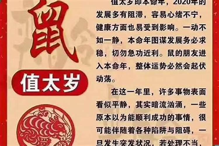 怎样算犯太岁的属相