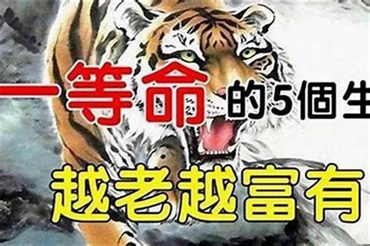 一生辛苦老得福的生肖