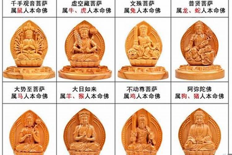 八大生肖守护神的区别