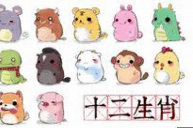 八大生肖守护神的区别